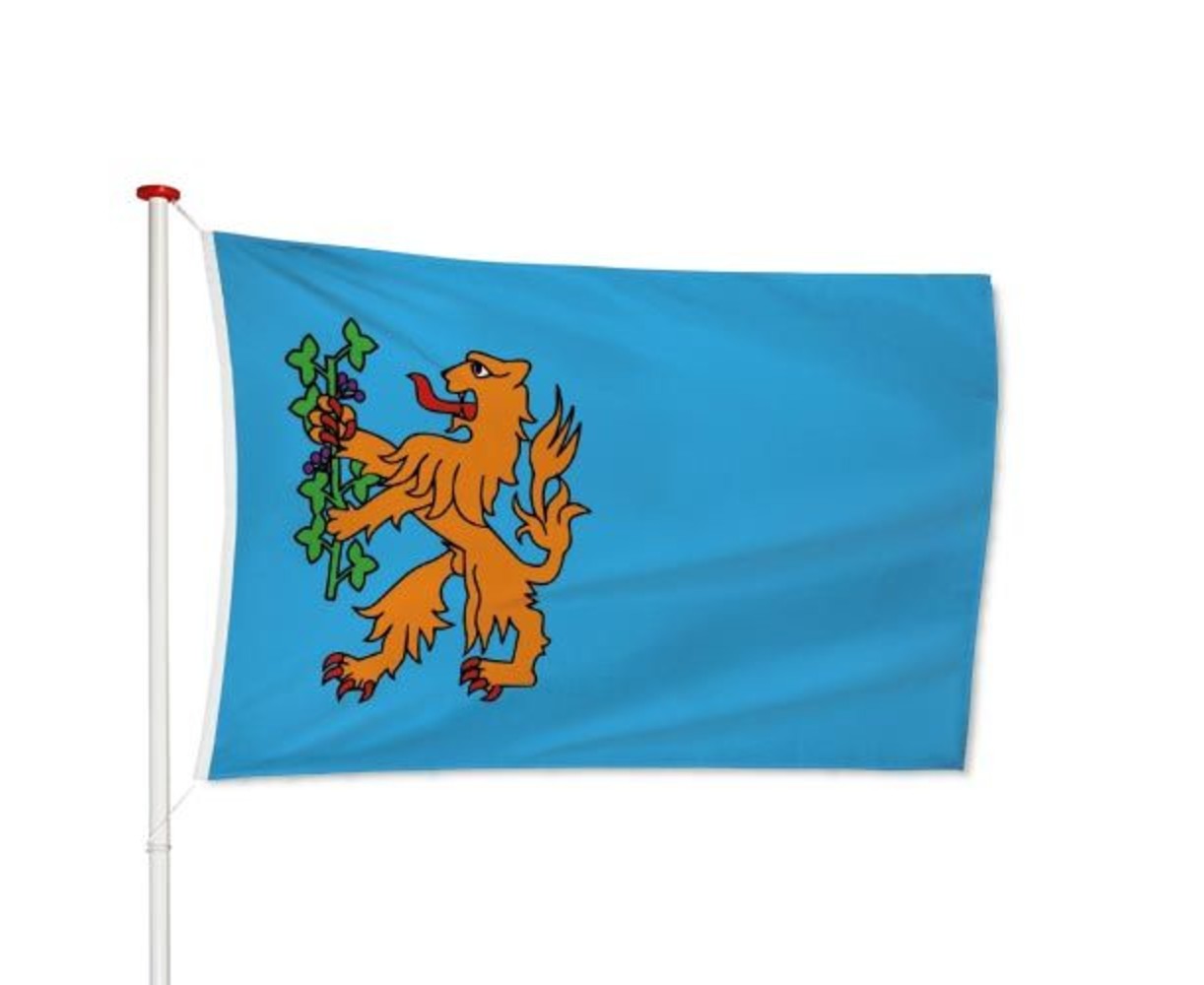 Vlag Brummen