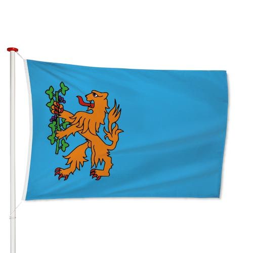 Vlag Brummen