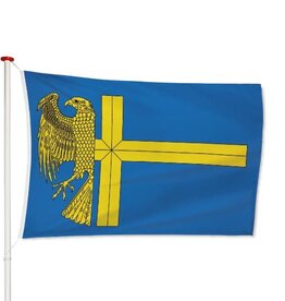 Vlag Bunschoten