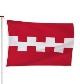 Vlag Buren