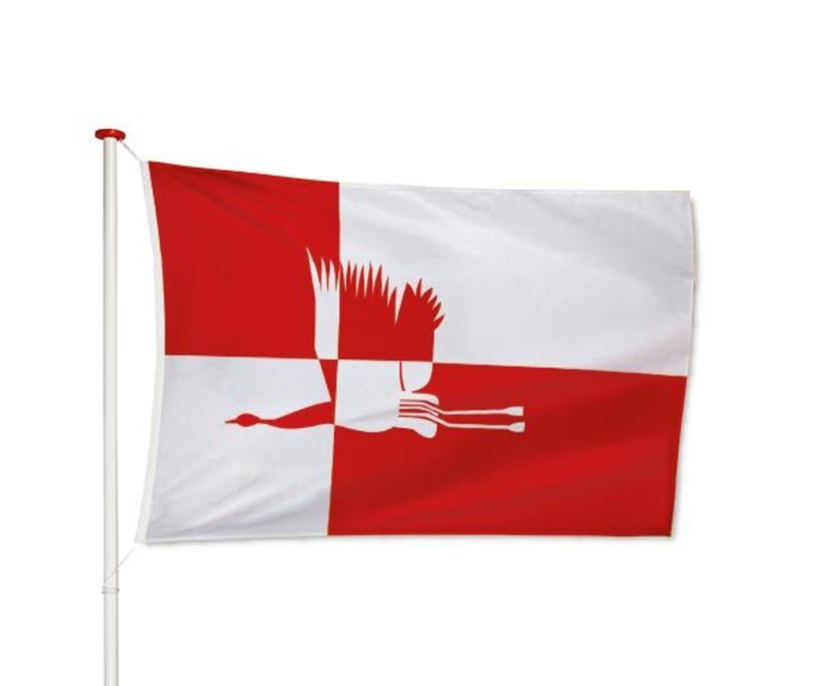Vlag Cranendonck