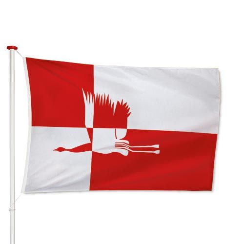 Vlag Cranendonck