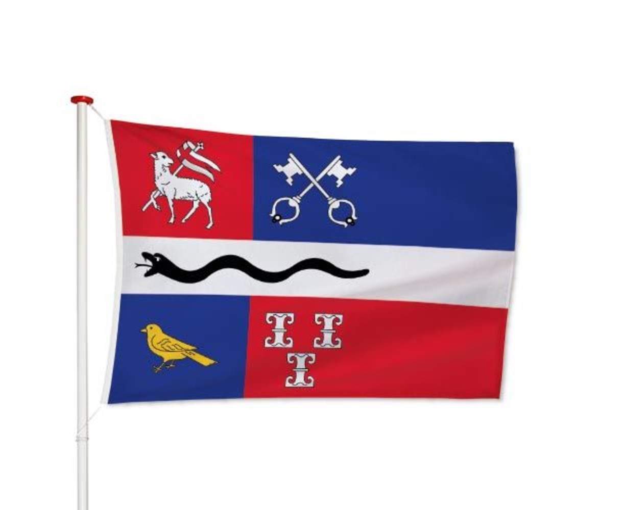Vlag De Ronde Venen