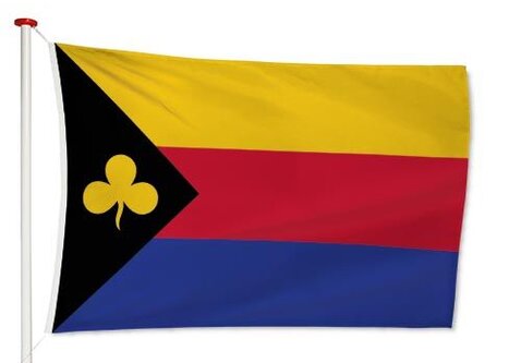 Vlag Delfzijl