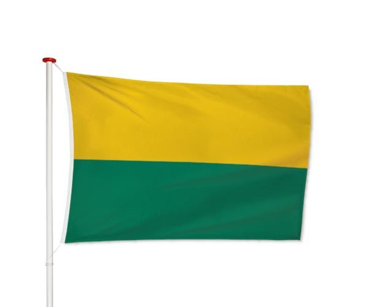 Vlag Den Haag