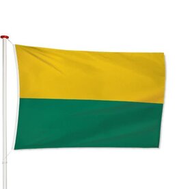 Vlag Den Haag