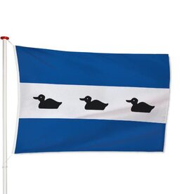 Vlag Diemen