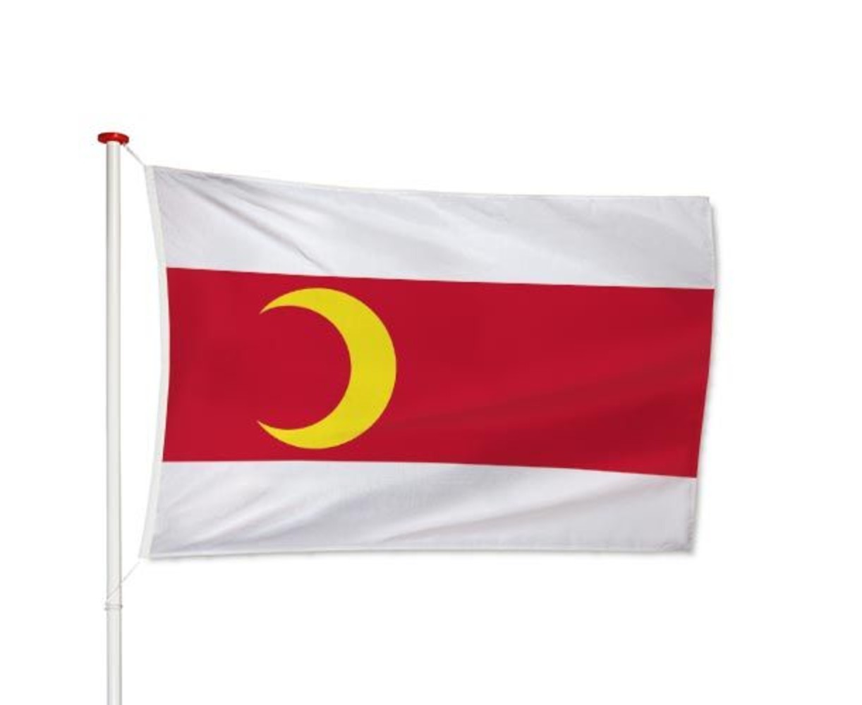 Vlag Doesburg