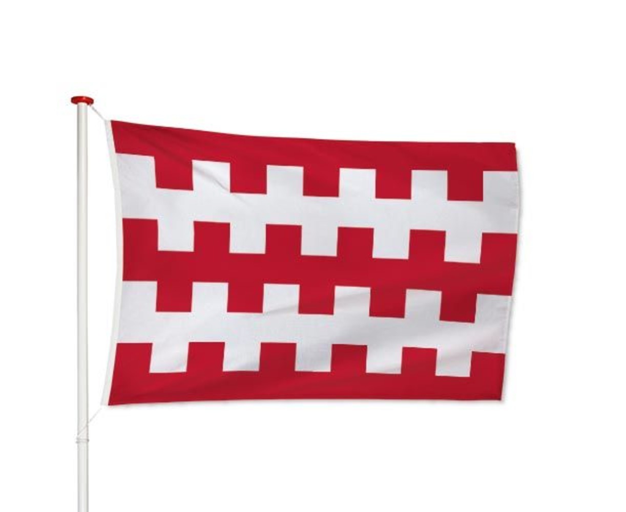 Vlag Dongen