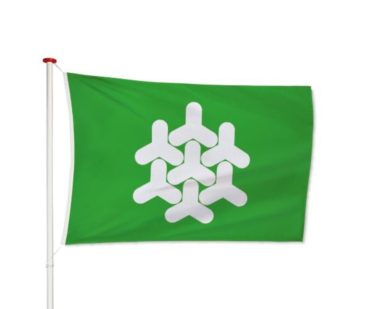 Vlag Dronten