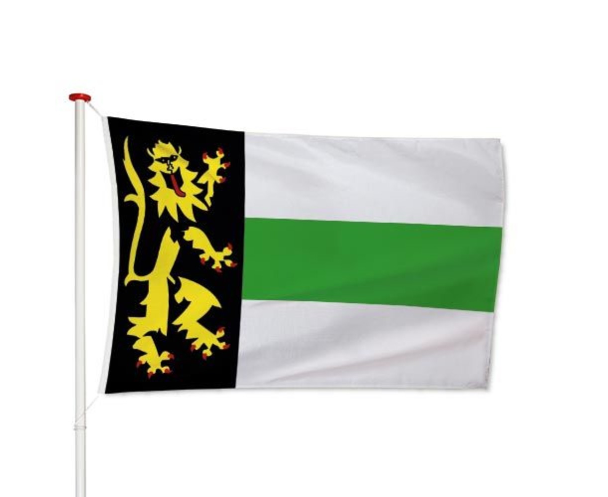 Vlag Druten