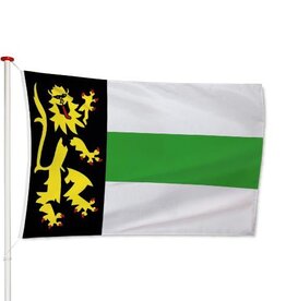 Vlag Druten