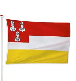 Vlag Eemnes