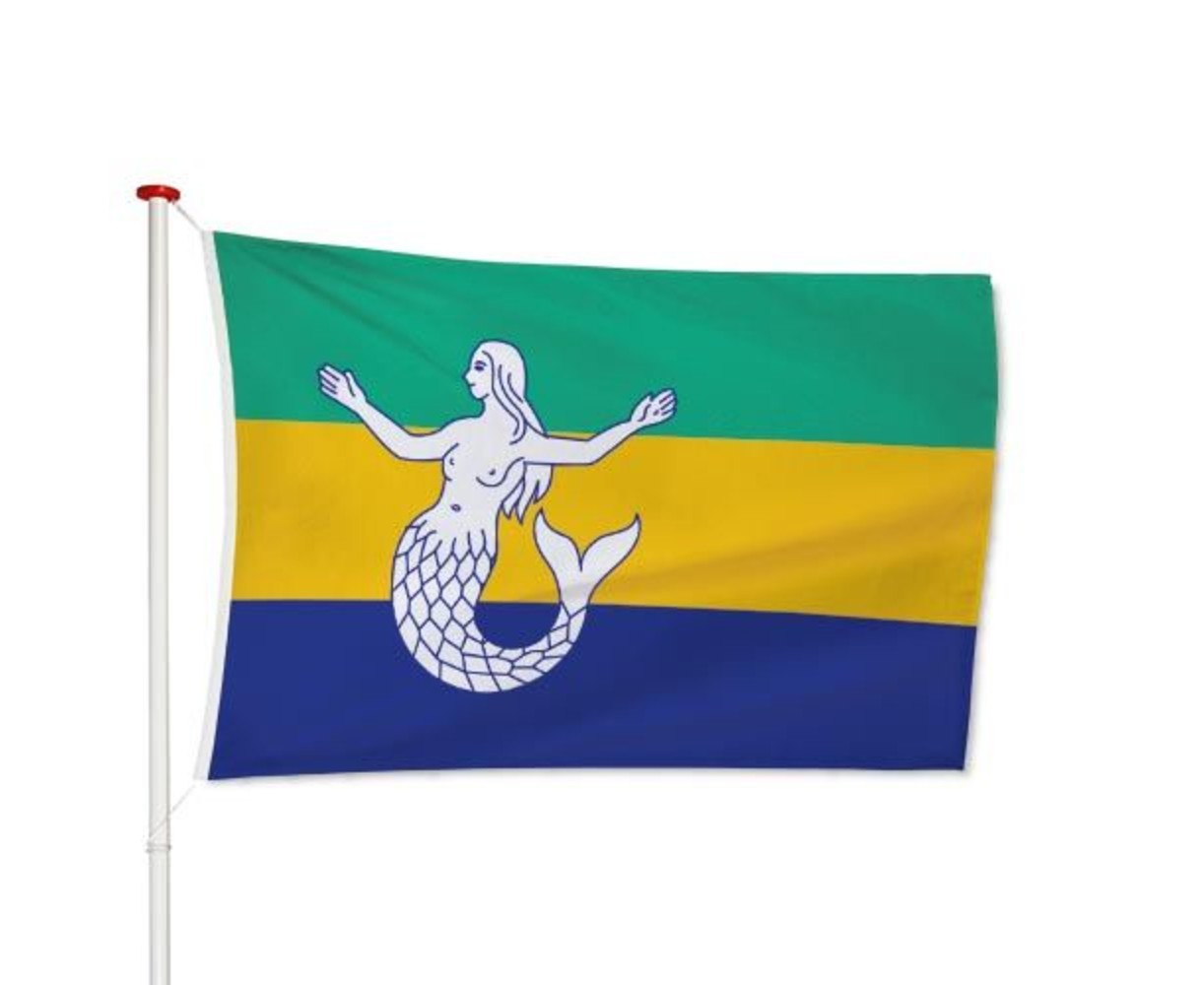 Vlag Eemsmond