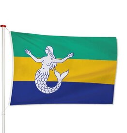 Vlag Eemsmond