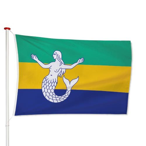 Vlag Eemsmond