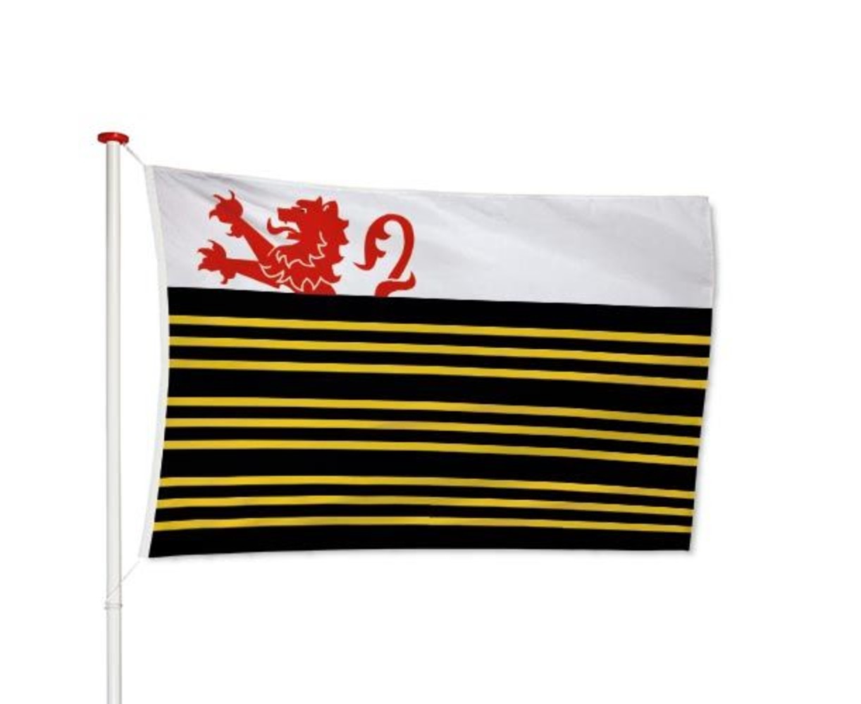 Vlag Eersel Vlag Eersel