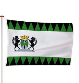 Vlag Emmen
