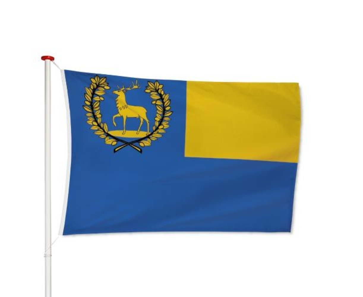 Vlag Epe