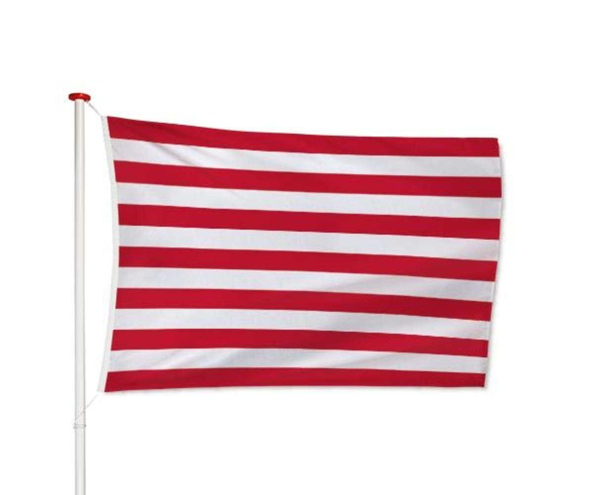 Vlag Goes