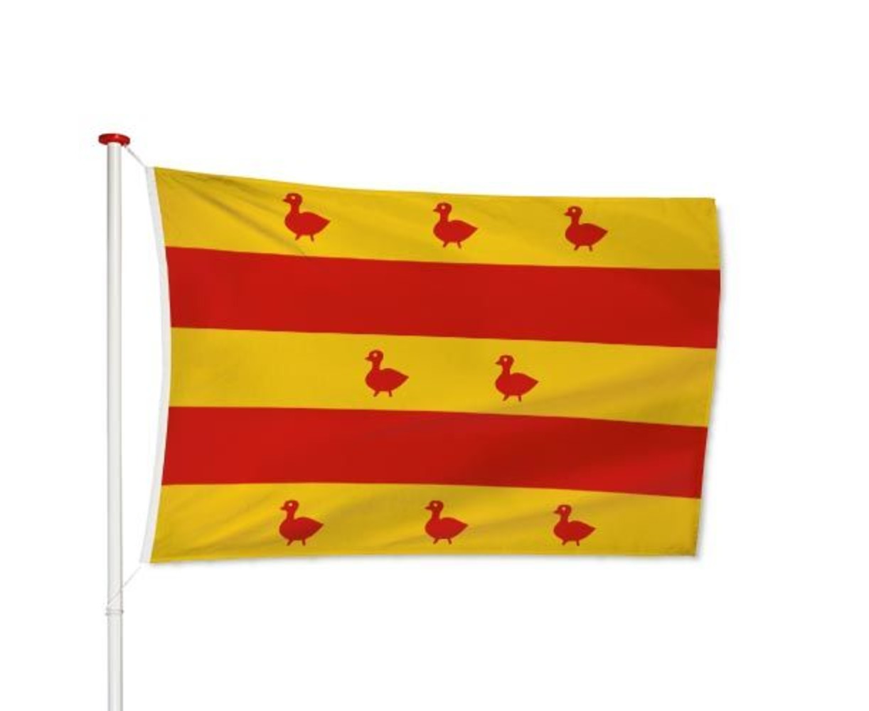 Vlag Grave