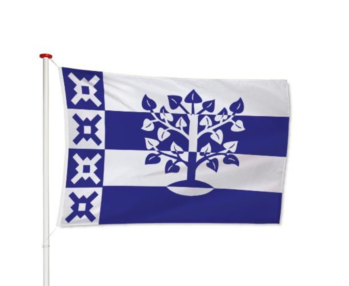 Vlag Haaren