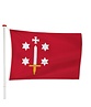 Vlag Haarlem