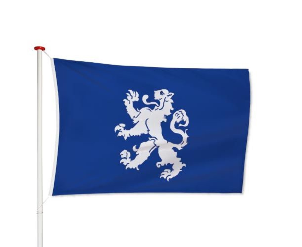 Vlag Heemskerk