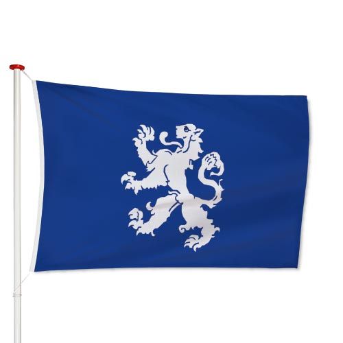 Vlag Heemskerk