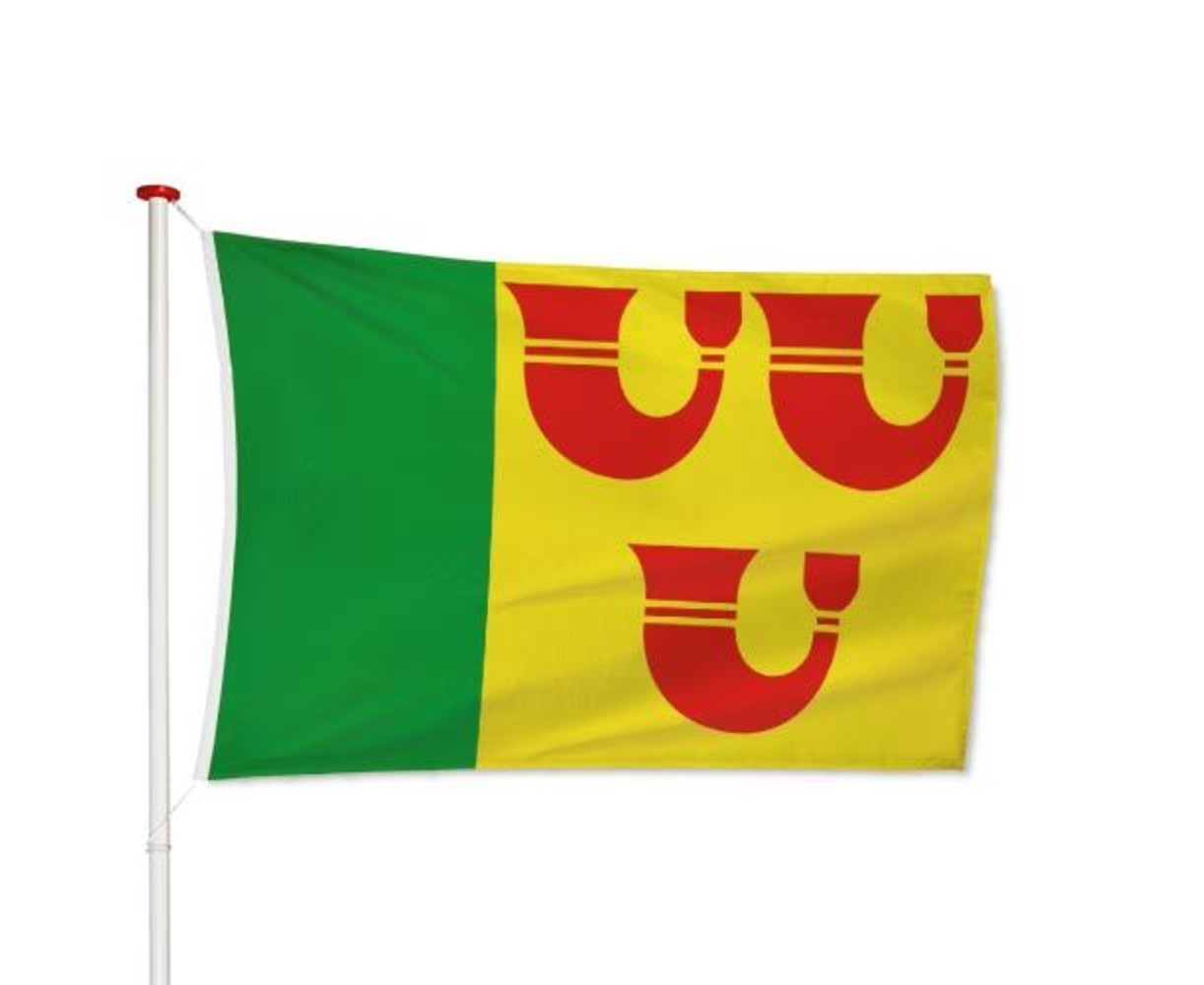 Vlag Heeze-Leende