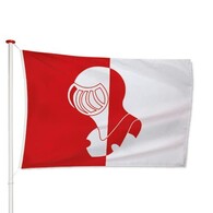 Vlag Helmond