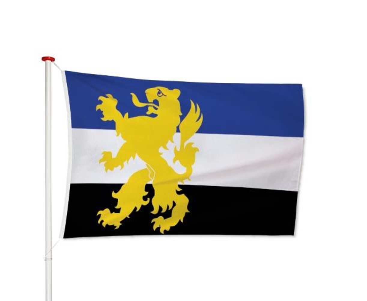 Vlag Hilvarenbeek