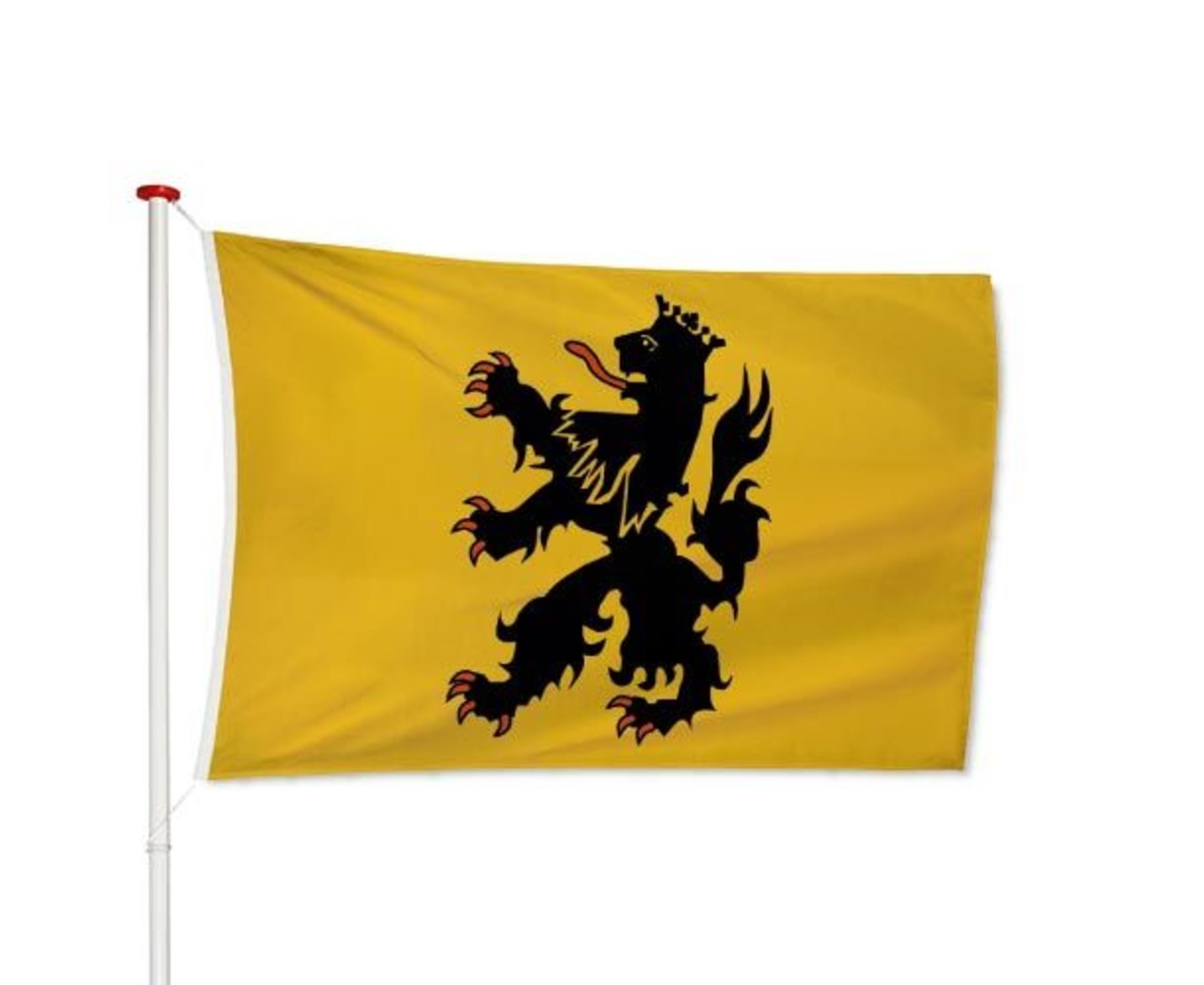 Vlag Hulst