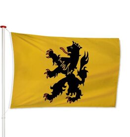 Vlag Hulst