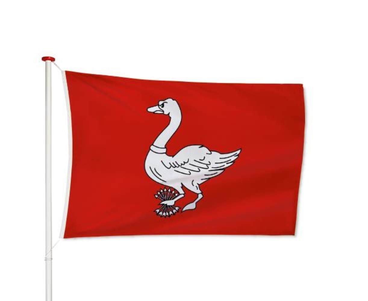 Vlag Landsmeer