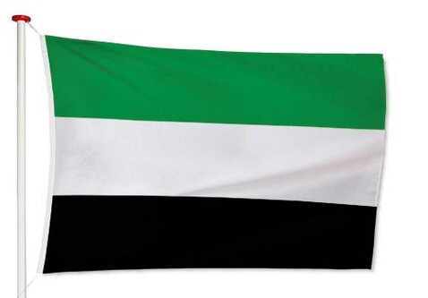 Vlag Leek