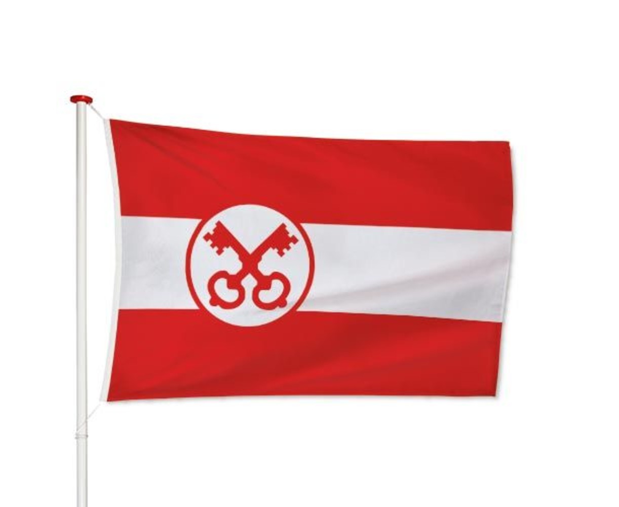 Vlag Leiden