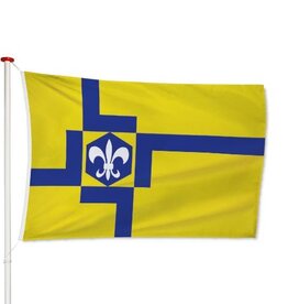 Vlag Lelystad