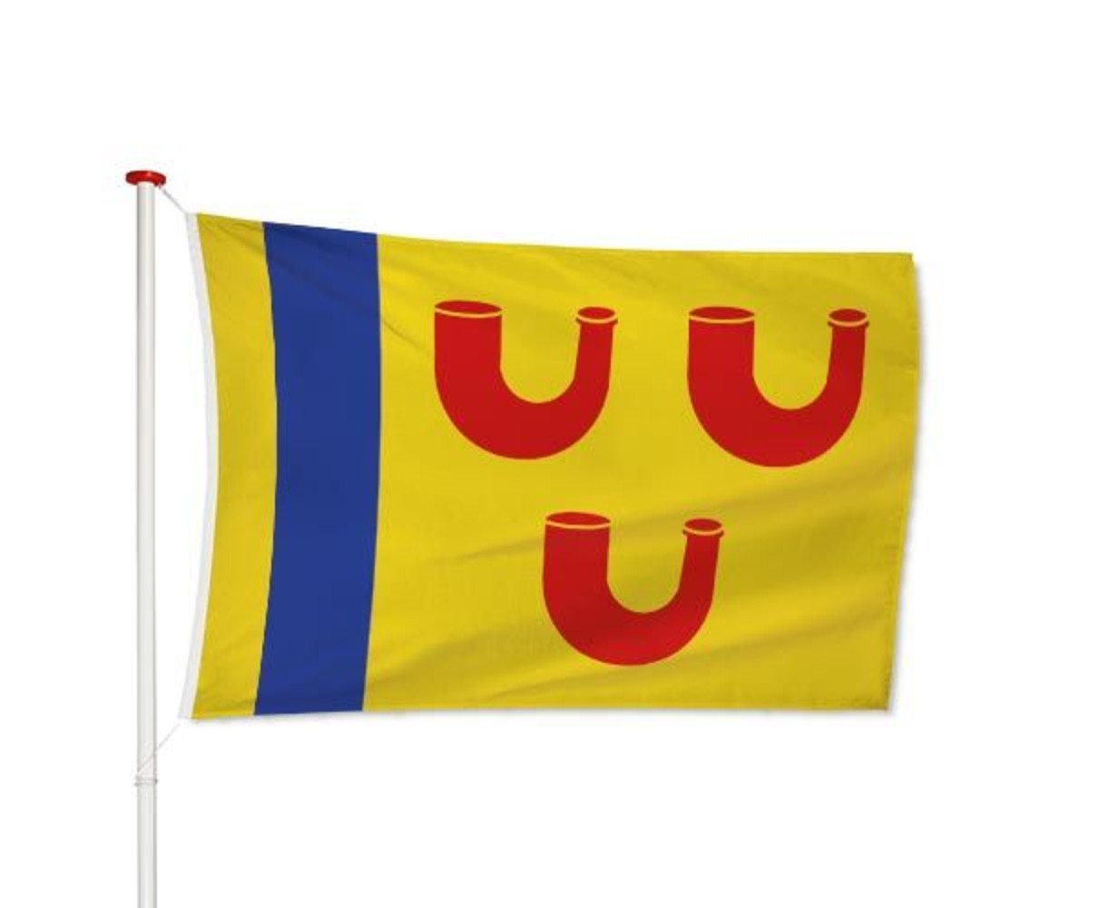 Vlag Leudal