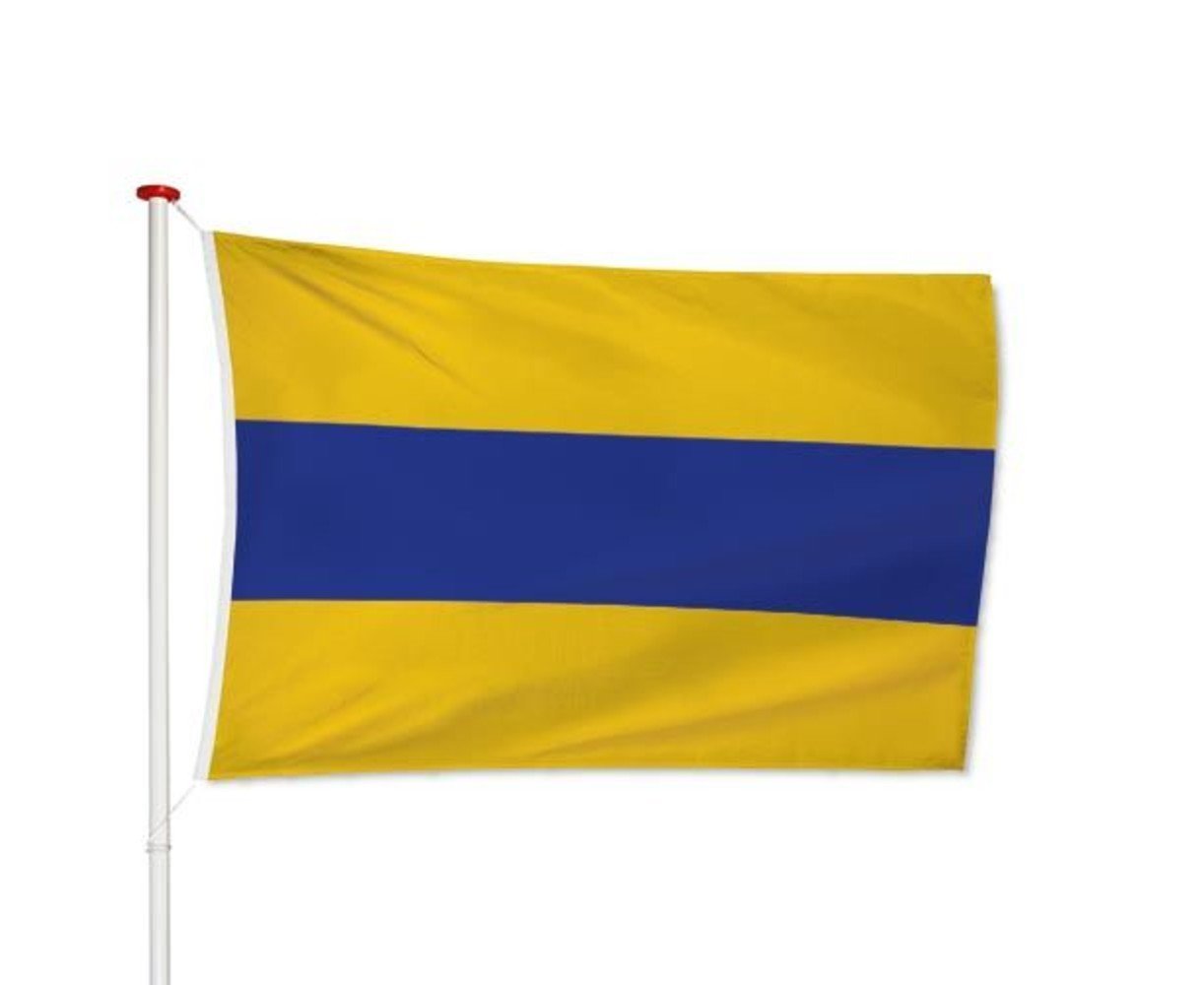 Vlag Lisse