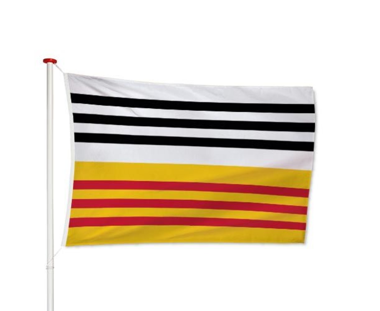 Vlag Loon op Zand