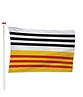 Vlag Loon op Zand