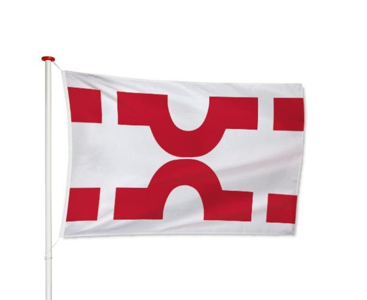 Vlag Losser