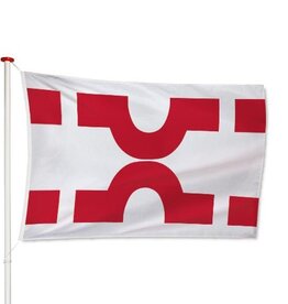 Vlag Losser