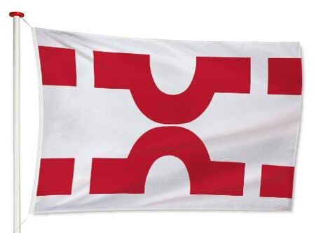 Vlag Losser