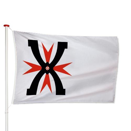 Vlag Montfoort