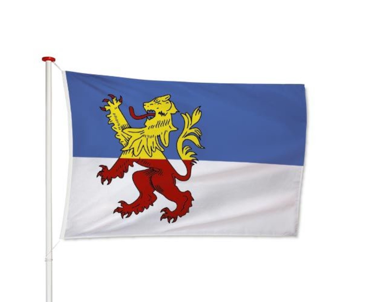 Vlag Neder-Betuwe