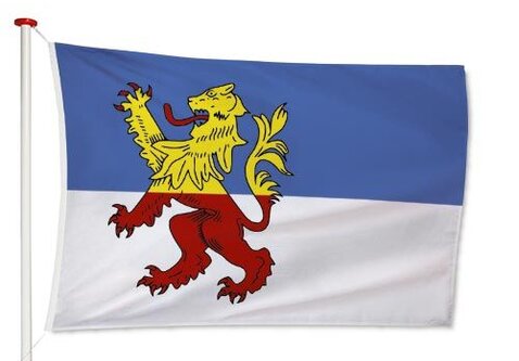 Vlag Neder-Betuwe