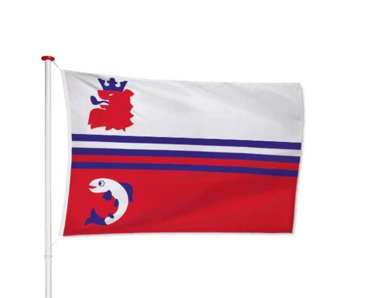 Vlag Neerijnen