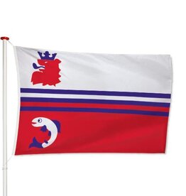 Vlag Neerijnen